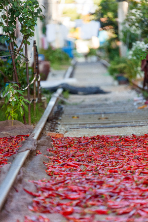Dried red chillies on the street in South Koreaの写真素材
