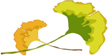 Painting of autumn leavesのイラスト素材