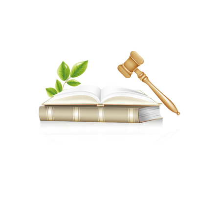 Judge icon - isolated on whiteのイラスト素材