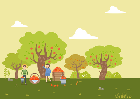 People harvest persimmonのイラスト素材