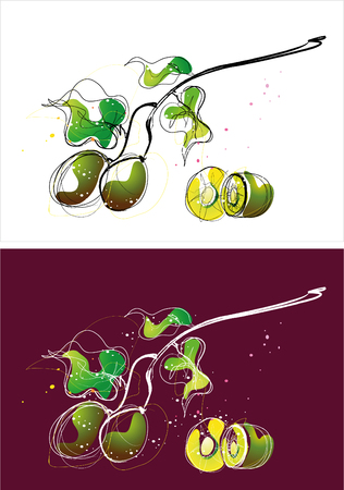 Two version background of kiwi sketchのイラスト素材