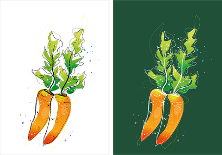 Two version background of carrot sketchのイラスト素材
