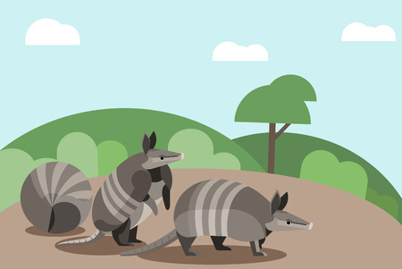 Animal in the Wildのイラスト素材