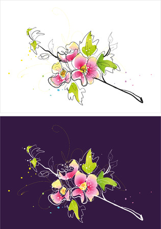 Two version background of flower sketchのイラスト素材