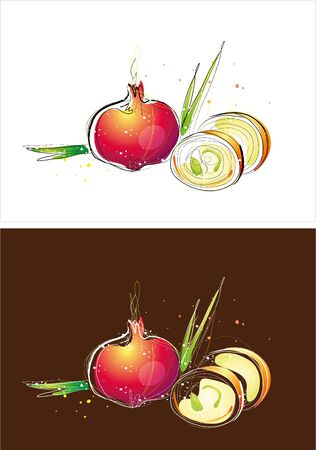 Two version background of onion sketchのイラスト素材