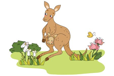 Kangaroo on the grassのイラスト素材