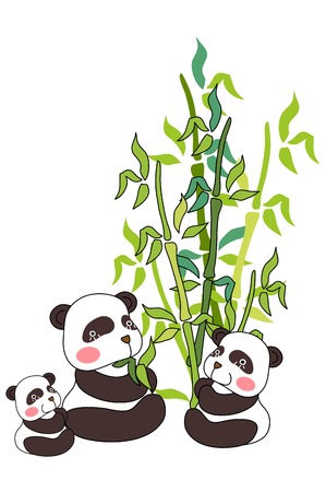 Panda eating bambooのイラスト素材