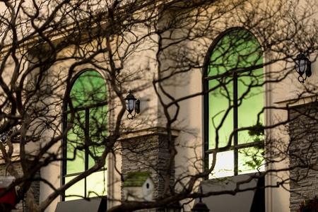 Wall in Buildings, twigの写真素材