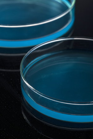 Two schales isolated on grey background are filled with blue solution.の写真素材