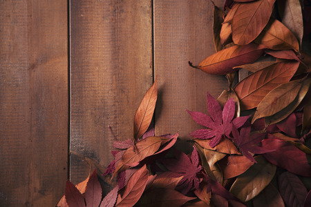 Autumn Objects - maple leafs, coffee, dry flowers, sweet persimmon 006