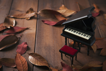 Autumn Objects - maple leafs, coffee, dry flowers, sweet persimmon 022の写真素材