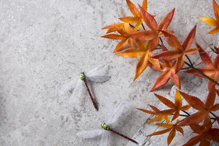 Autumn Objects - maple leafs, coffee, dry flowers, sweet persimmon 075