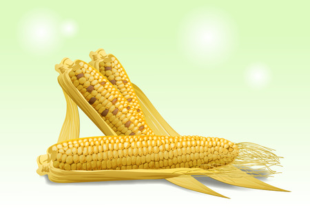 Fruit objects - Apple, tomato, chestnut, etc 010のイラスト素材