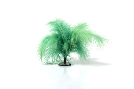 A green feather decoration isolated on white backgroundの写真素材