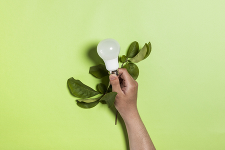 A bulb and leaves on green backgroundの写真素材