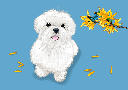 illustration of Pet - cute bulldog, Chihuahua, poodleのイラスト素材