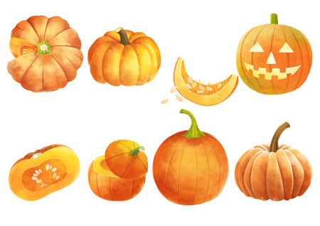 Autumn object illustration - pumpkinのイラスト素材