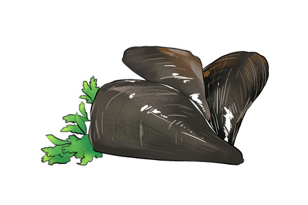 Vector - seasonal fresh food illustration. kind of marine products with white background.のイラスト素材
