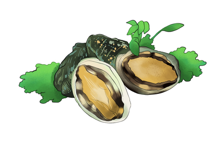 Vector - seasonal fresh food illustration. kind of herbs, marine products with white background.のイラスト素材