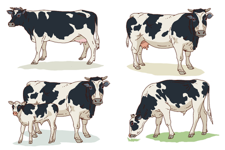 Vector Illustration of Farm and wild Animals cartoon isolated in white.   001のイラスト素材