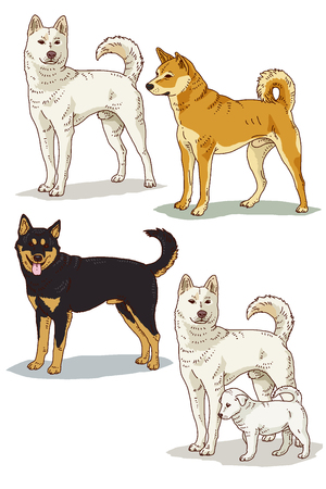 Vector Illustration of Farm and wild Animals cartoon isolated in white.   006のイラスト素材