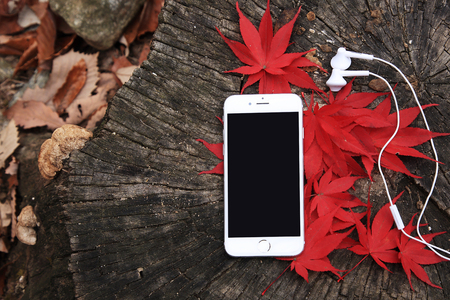 smartphone on beautiful scenery of fall, s 078の写真素材