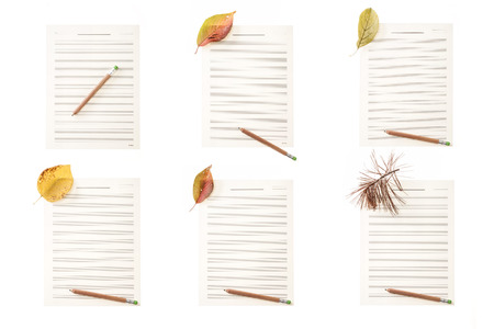 Pencils and fallen leaves on musical note papersの写真素材