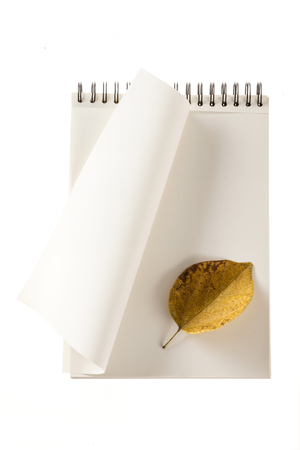 A fallen leaf on a white notebookの写真素材