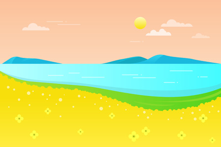 Field of yellow flower with sea Vector illustration.のイラスト素材