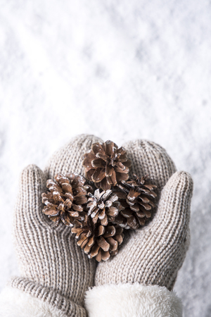 Objects photo for winther season. sweater, tangerine, hot tea or coffee and so on. 094の写真素材