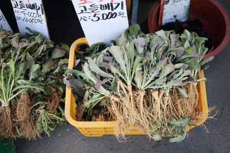 Stock photo for sketch scenery of Korean traditional market. Various products are sold in the market.の写真素材