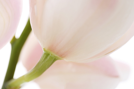 Various microscopic images, the surface of a particular object photography. 002の写真素材
