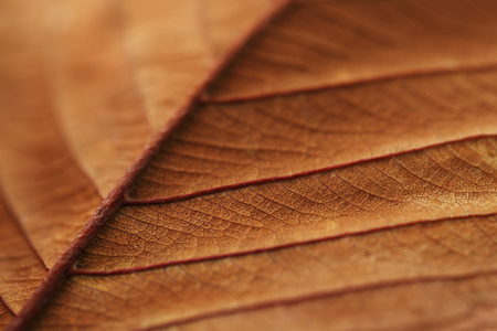 Various microscopic images, the surface of a particular object photography. 071の写真素材