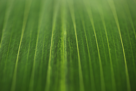 Various microscopic images, the surface of a particular object photography.の写真素材