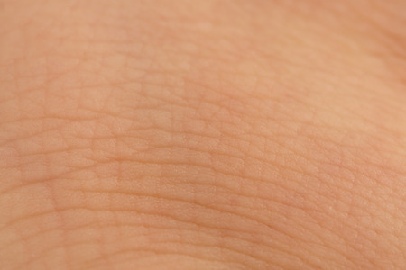 Various microscopic images, the surface of a particular object photography.