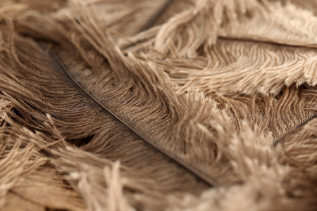 Various microscopic images, the surface of a particular object photography. 235の写真素材