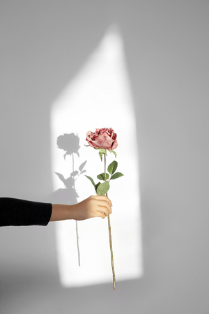 Hand gestures photo. Hand signals or signs use to communicate. 057の写真素材