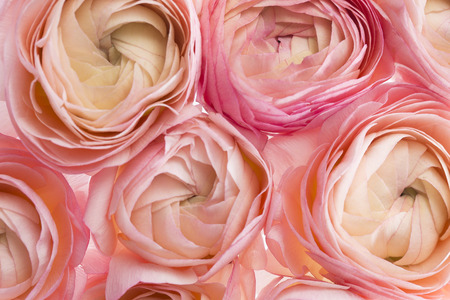 Variety and differents colours and textures background design with glitter, paper, pattern, and...
