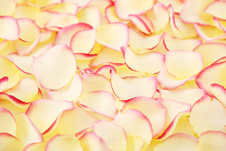 Background Images Stock Photos 128の写真素材