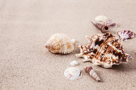 Background Images Stock Photos 138