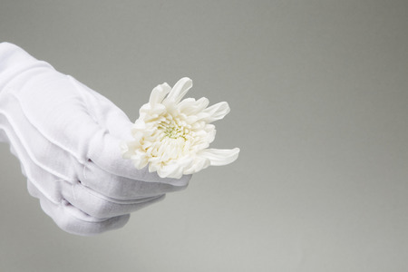 RF Photos - objects photos for special day event props. 191の写真素材