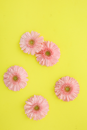 Beautiful flower collectionの写真素材