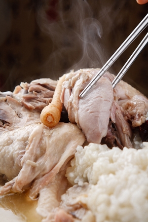 Korean cuisine chicken baeksuk, boiled whole chicken soupの写真素材