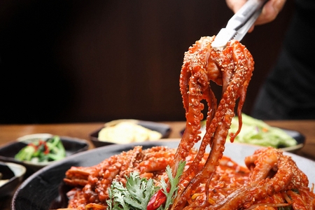 Spicy octopus platterの写真素材