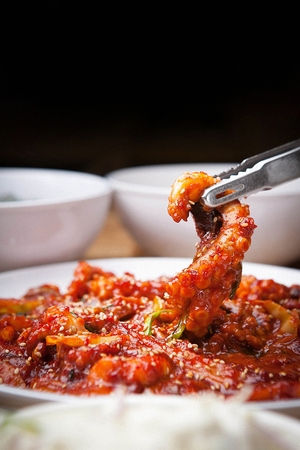 Stir-fried small octopus, Korean spicy cuisineの写真素材
