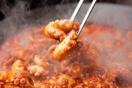 Stir-fried webfoot octopusの写真素材