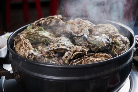 Braised Oystersの写真素材