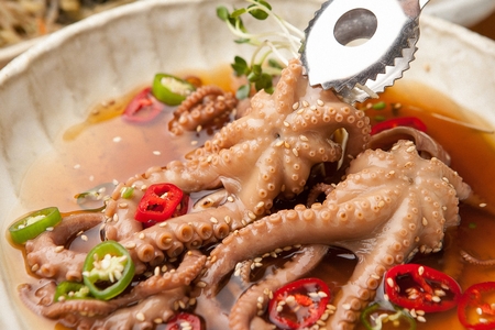 Small octopus marinated in soy sauceの写真素材