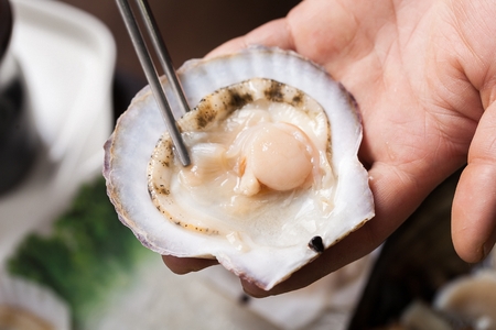 Steamed clamsの写真素材