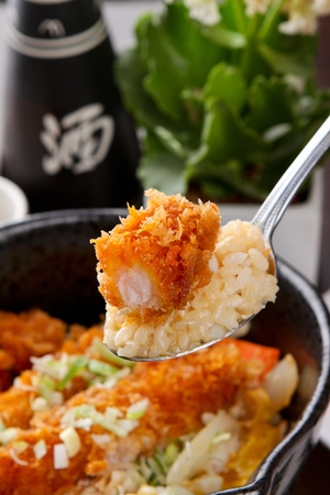 Ebi donburi (tempura rice bowl)のeditorial素材